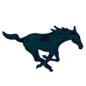 Blue Valley North Mustangs logo