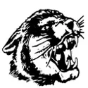 Burlington Wildcats logo